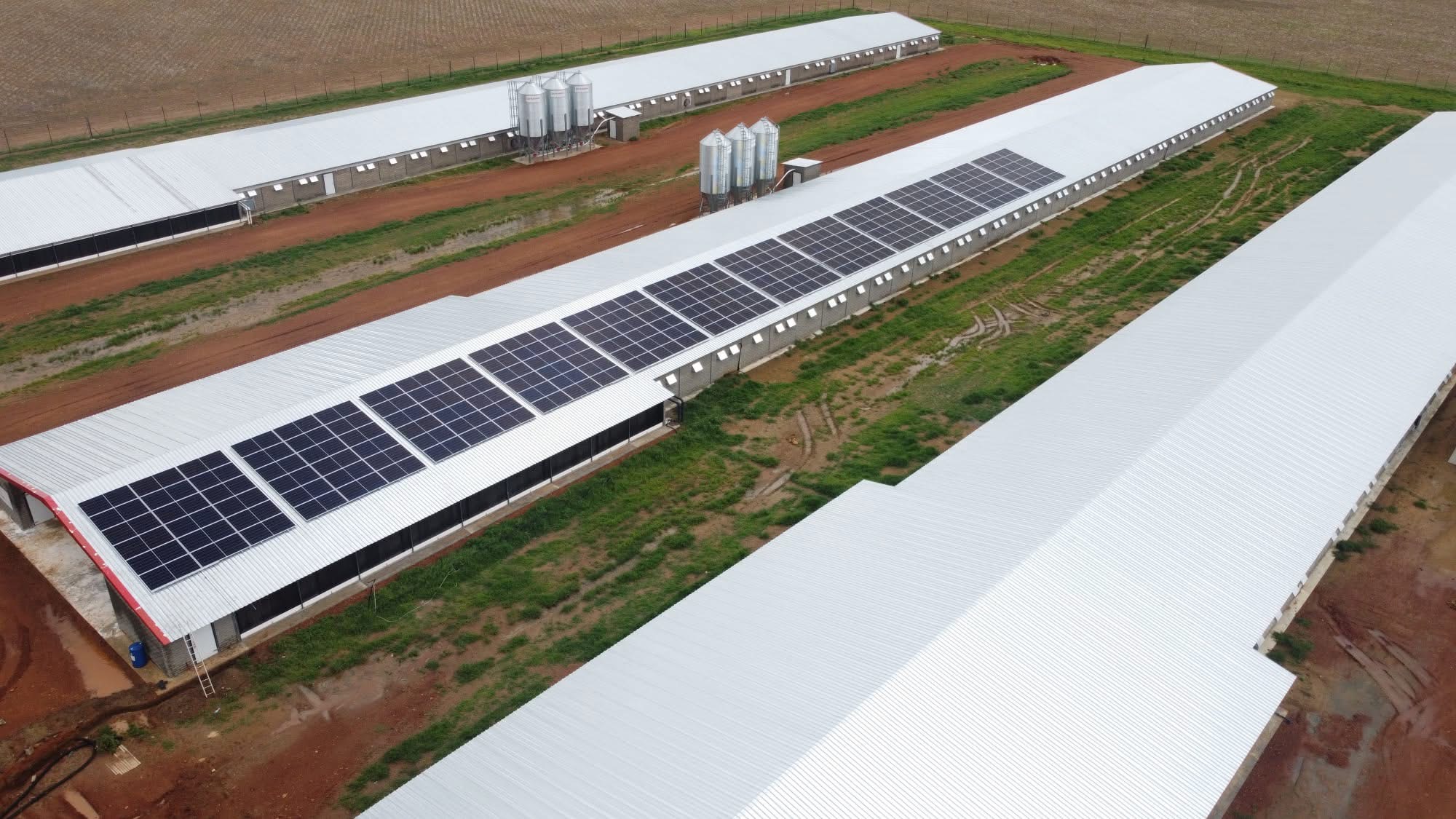 Solar PV on poultry-house roofs at an agricultural facility